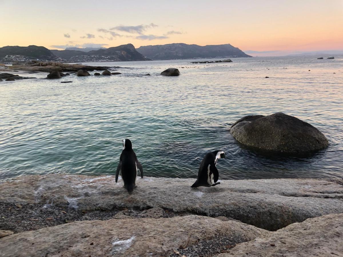 Seaforth Suite Simonʼs Town Esterno foto